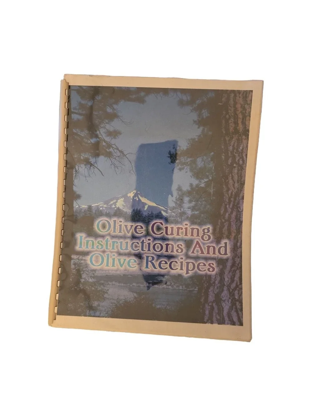 Olive Curing Instructions & Olive Recipes Comb-Bound Booklet - Used